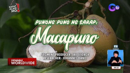 Binhi ng macapuno, paano nga ba pinatutubo? | Dapat Alam Mo!