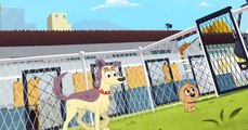 Pound Puppies 2010 Pound Puppies 2010 S01 E026 Lucky Gets Adopted