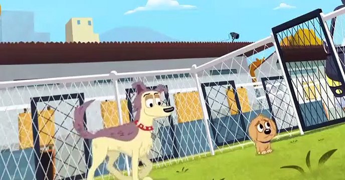 Pound Puppies 2010 Pound Puppies 2010 S01 E026 Lucky Gets Adopted