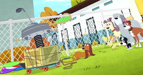 Pound Puppies 2010 Pound Puppies 2010 S02 E001 Zipper the Zoomit Dog