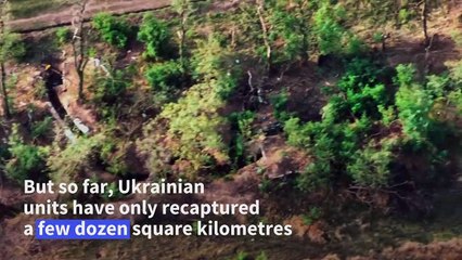 Ukrainian army advancing 'gradually' on war's grinding southern front