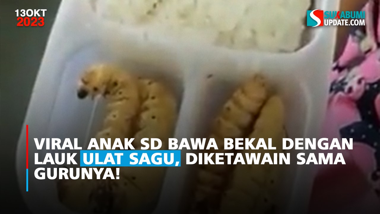 Viral Anak SD Bawa Bekal dengan Lauk Ulat Sagu, Diketawain sama Gurunya!