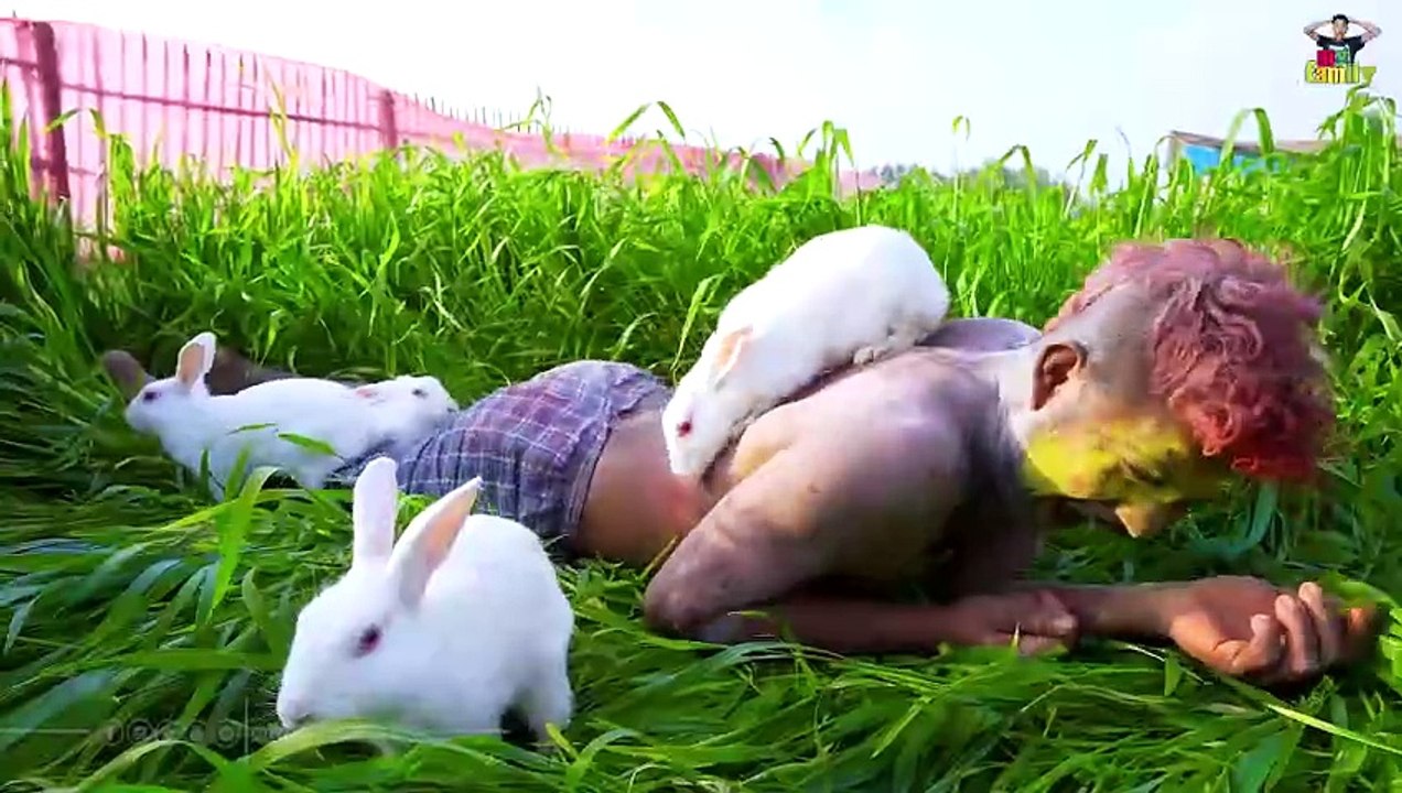 Funniest Fun Amazing videos must Entertainment comedy Try To Not Laugh My Family