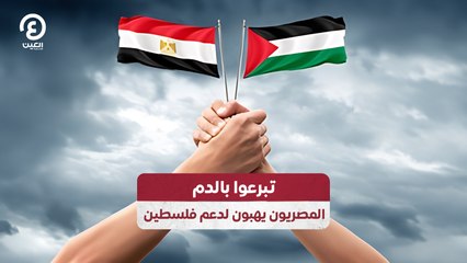 تبرعوا بالدم.. المصريون يهبون لدعم فلسطين