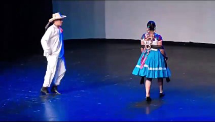 Huapango Huateco