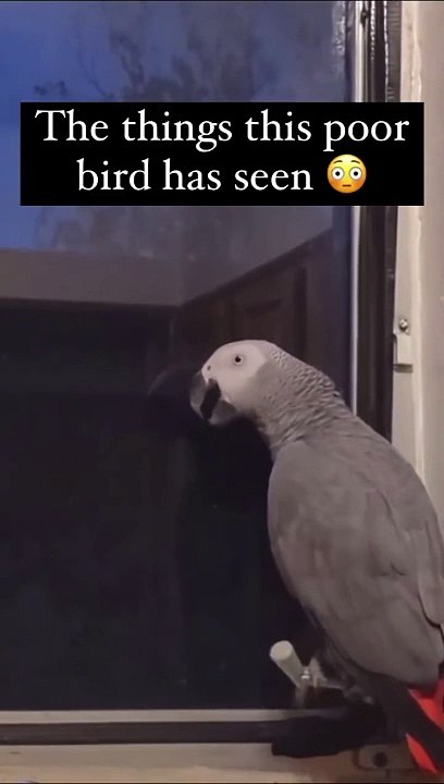 Wow