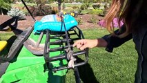 Planting Climbing Roses in Obelisks, New Pineapple Lilies & Groundcover Shrubs!  __ Garden Answer