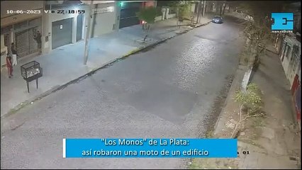 "Los Monos" de La Plata: se colgaron del portón y robaron una moto de la cochera de un edificio