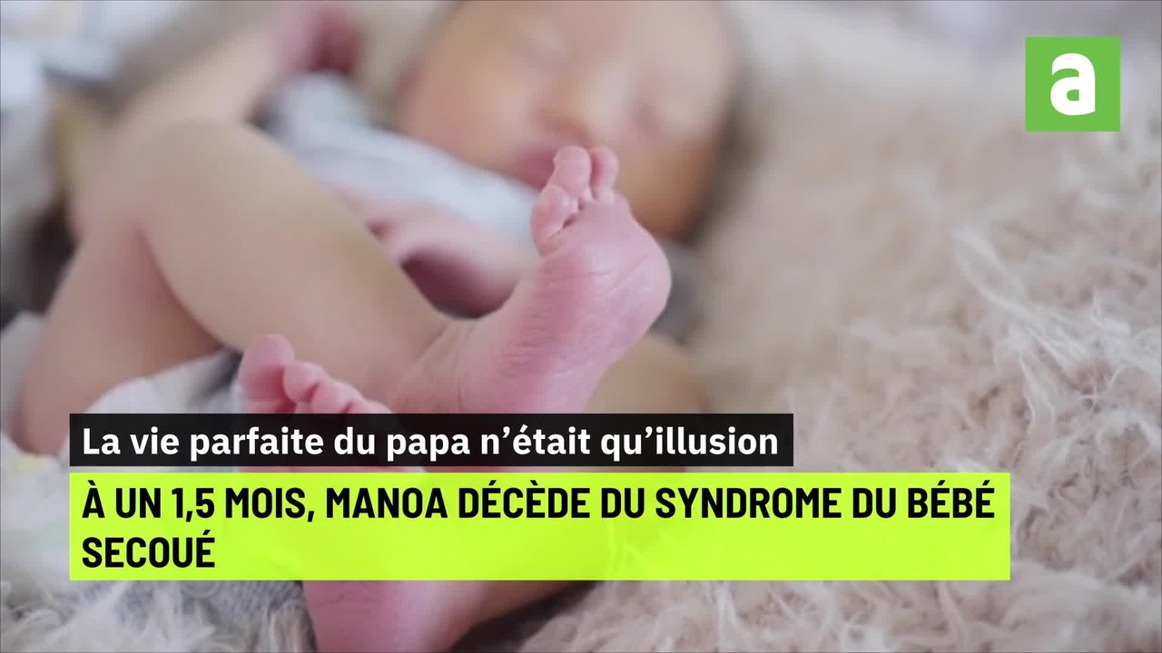 Surprenantes histoires judiciaires: condamné à rembourser les allocations familiales, tensions à cause d'un castor, le feu à la voiture de son avocat