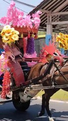 Pawai delman hias  #dailymotion #kuda #kudakuda #delmanhias