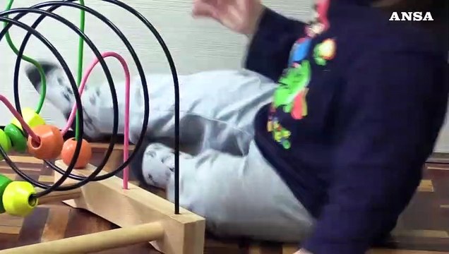 Un bambino su tre rifiuta il cibo nelle mense scolastiche