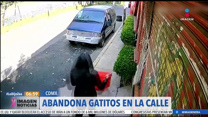 Joven abandona a gatitos en calles de la CDMX