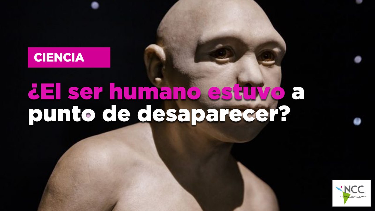 ¿El ser humano estuvo a punto de desaparecer?
