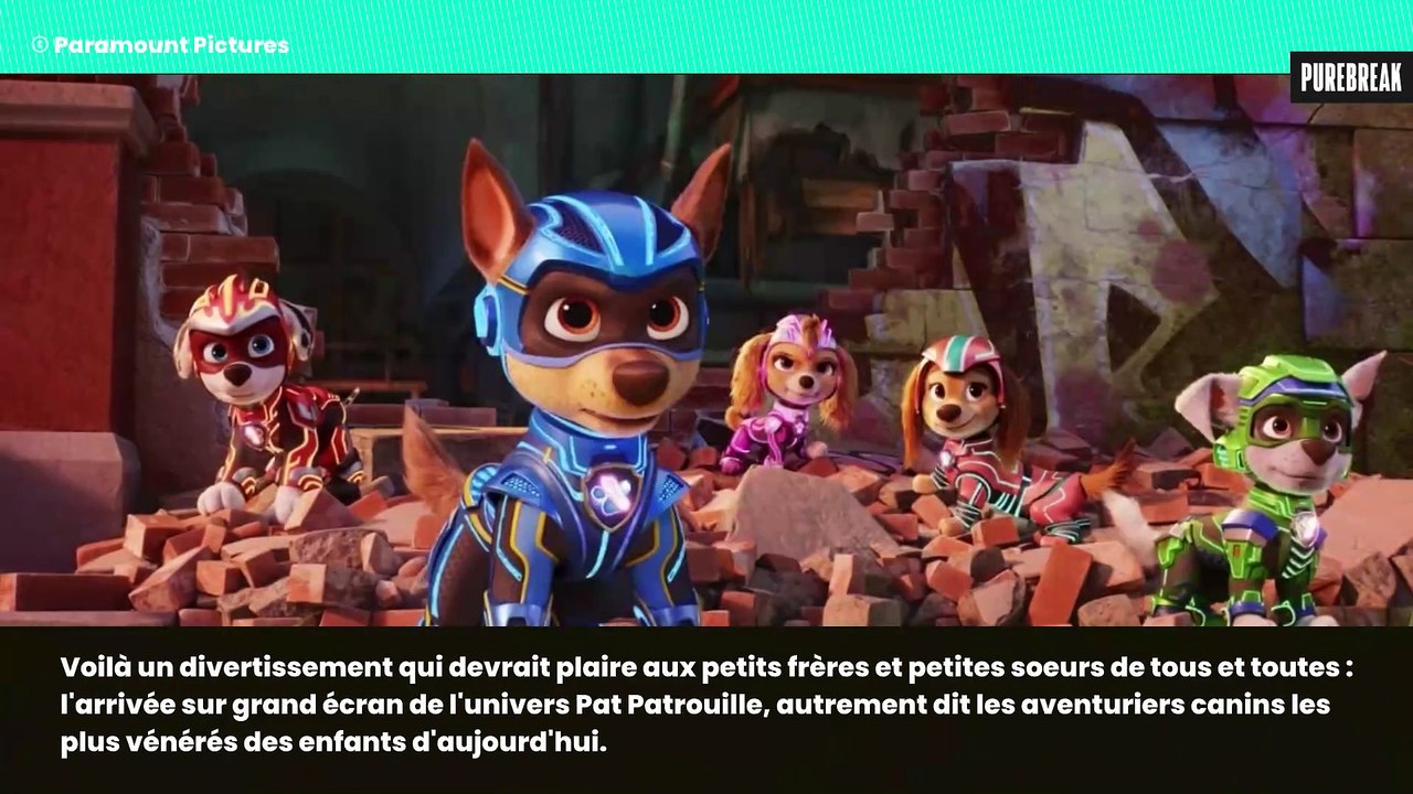 Magie noire, Zizou et chiens à gogo : l'agenda Purebreak du week-end du 13 au 15 octobre 2023 (sans se ruiner)