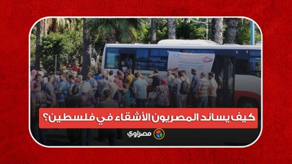 هتافات وتبرعات.. كيف يساند المصريون الأشقاء في فلسطين؟