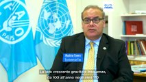 Fao, rapporto shock sull'agricoltura: persi 3,6 trilioni di euro in 30 anni. Prima stima globale