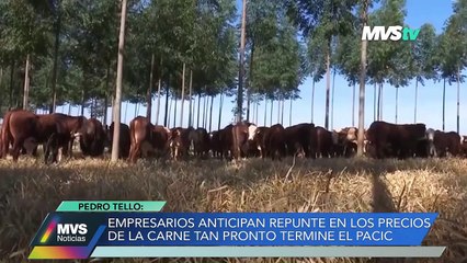 EMPRESARIOS ANTICIPAN REPUNTE EN LOS PRECIOS DE LA CARNE TAN PRONTO TERMINE EL PACIC