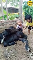 Our Brave , nature lover little boy 