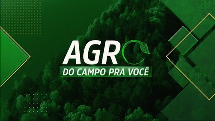 Télécharger la video: DIA DA ALIMENTAÇÃO: USO SUSTENTÁVEL DA ÁGUA PARA ALIMENTOS | AGRO: DO CAMPO PRA VOCÊ - 15/10/2023