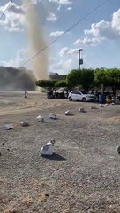 Diable de poussière à grande vitesse