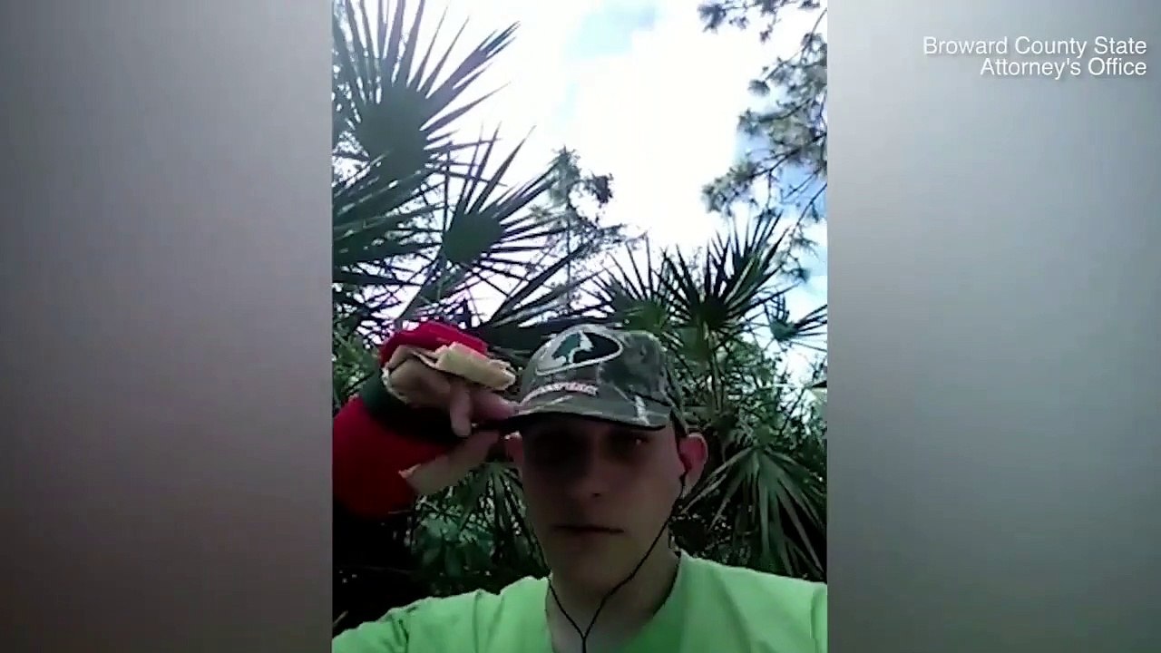 Smoking Gun Nikolas Cruz The One Armed Man Did It
