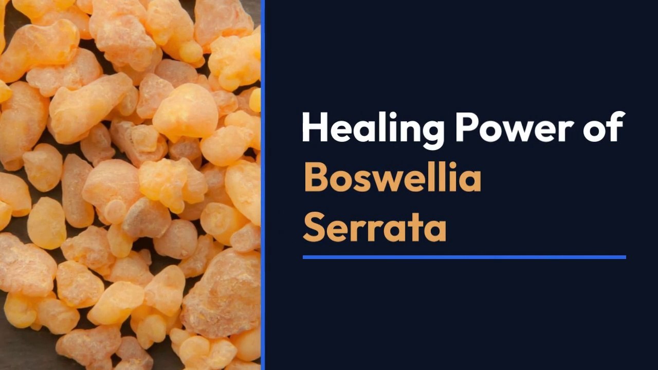 Boswellia serrata herb