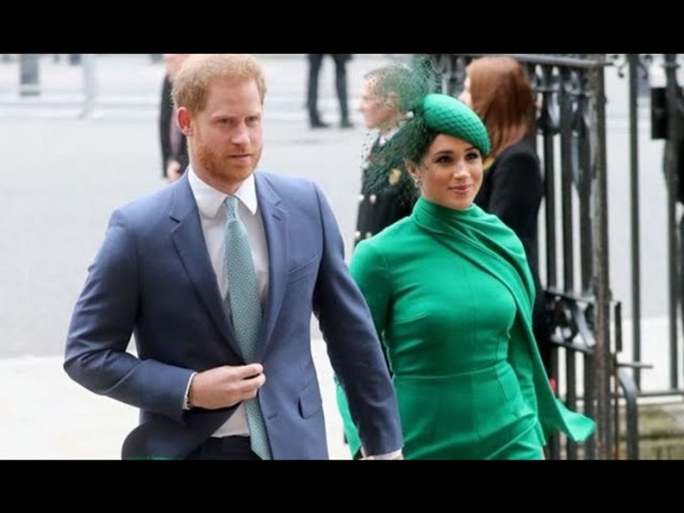 Prince Harry led Megxit decisions despite Meghan being the 'catalyst' 'Picture very clear'