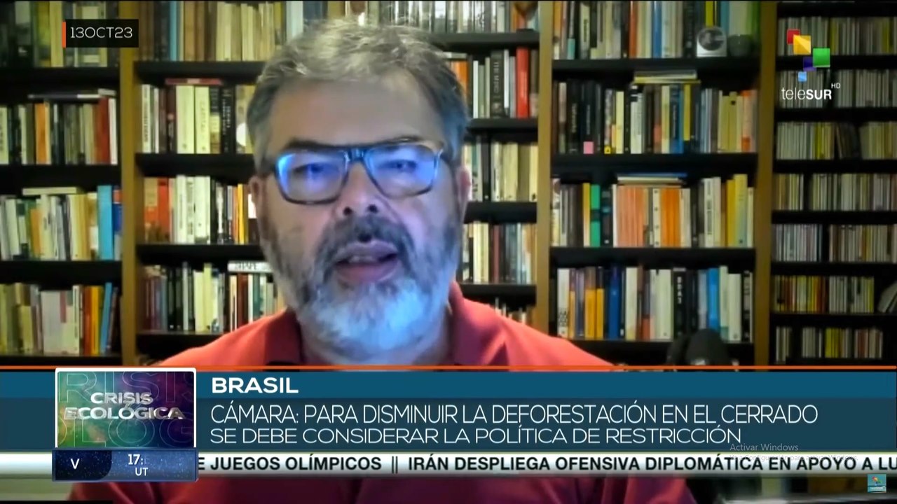 Disminución de un casi 59% destrucción de la selva amazónica