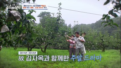 [#4인용식탁] 선우용녀, 김자옥, 강수연 등 톱스타들과 연기한 꽃할배 백일섭 그가 기억하는 故김자옥의 마지막 모습