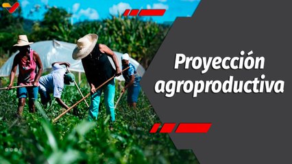 Programa 360 | Proyecciones agroproductivas del estado Portuguesa