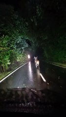 Deer Runs Down Middle of Road