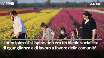 Che cosa sono i kibbutz