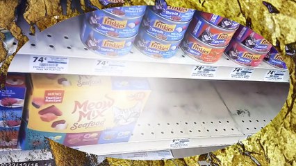 Leaving store 12 16 22 l brought cat home from vet l Cyberlink.compressed