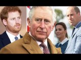 Charles follows Kate, William and Harry's lead in making plea over 'catastrophic' crisis