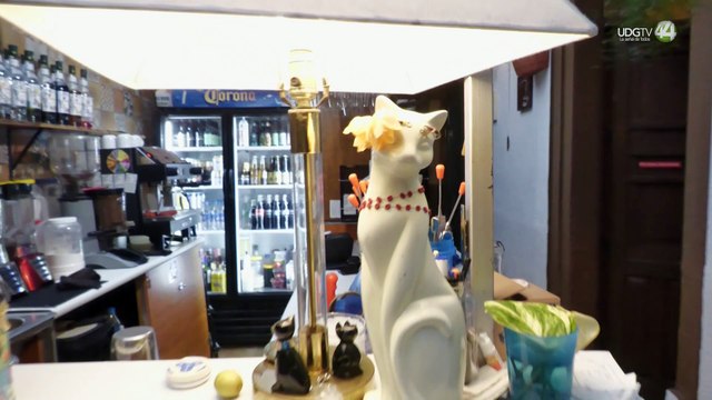 INSPIRATRIX 2 | Ricardo te lleva a Ver Gatitos - Hoy: El Gato Café