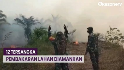 Karhutla di Jambi Capai 1.155 Ha, 12 Tersangka Telah Diamankan