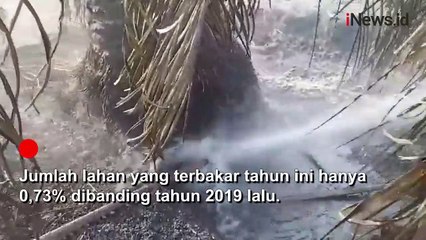 Karhutla di Jambi Mencapai 1.155 Hektare, Polisi Amankan 12 Tersangka
