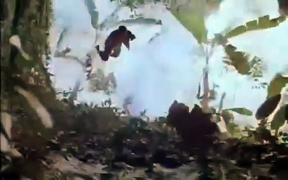 Carnage Bande-annonce (EN)