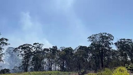 WATCH: Water bombing helicopter arrives at plant