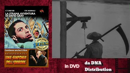 LA STRANA AVVENTURA DI DAVID GRAY (Vampyr - Il vampiro, 1932) + NOSFERATU, UNA SINFONIA DELL'ORRORE (1922) - 2 Film (Dvd)