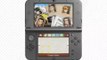Phoenix Wright: Ace Attorney Dual Destinies Nintendo 3DS themes - Court Record