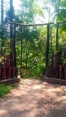 gerbang pendakian gunung rinjani jalur otak koko joben