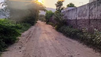 आचार संहिता में भी पुलिस-आबकारी नहीं रोक पा रहे शराब तस्करी...देखें वीडियो