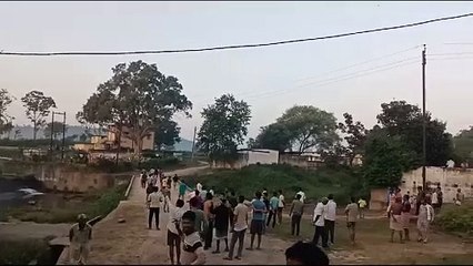 नगर पंचायत के 3 वार्डों में घुसा 11 हाथियों का दल, खदेडऩे सडक़ पर निकले लोग