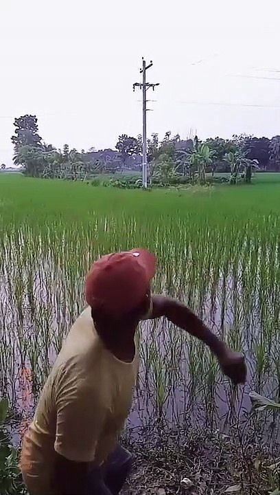 Kena tipu  #viral #trending #lucu #komedi