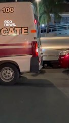 ¡Conmovedor! Perrito queda atrapado en alcantarilla y su amigo lo esperó hasta su rescate