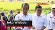 Jokowi Sebut Petani Senang dengan Melambungnya Harga Gabah
