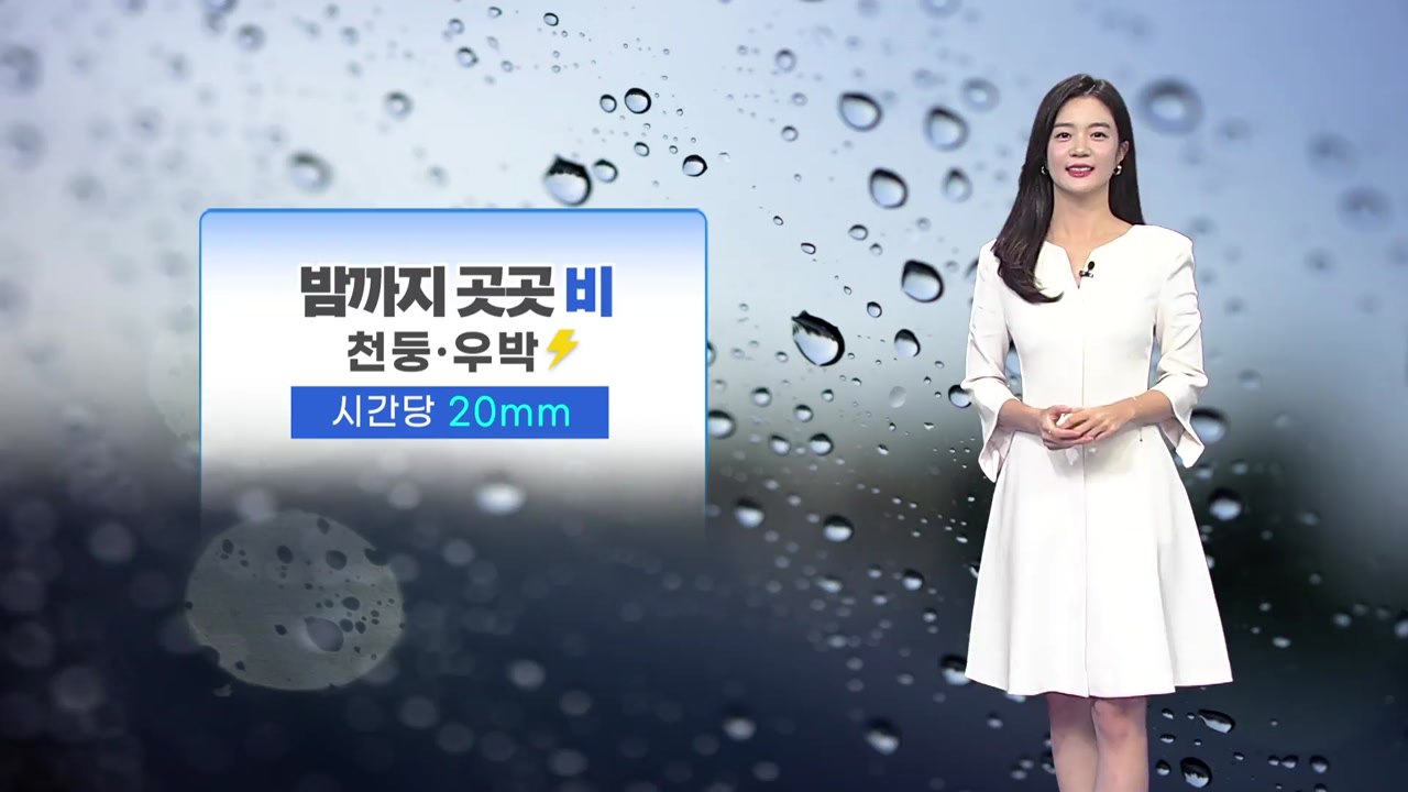 [날씨] 밤까지 곳곳 비...내일, 일교차 큰 가을 날씨 / YTN