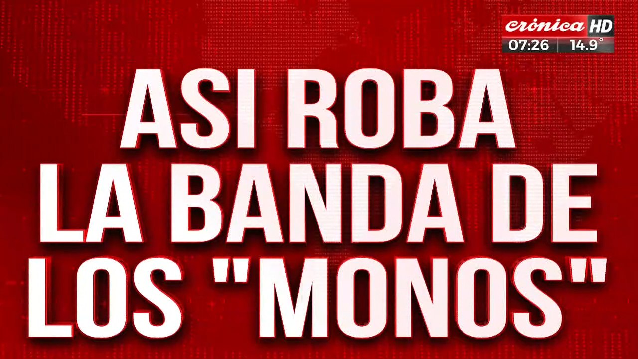 Tremendo video muestra cómo roba la banda de los "monos"