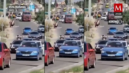 Suman casi 500 mil desplazados por la guerra en Gaza